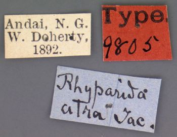 Media type: image; Entomology 9805   Aspect: labels